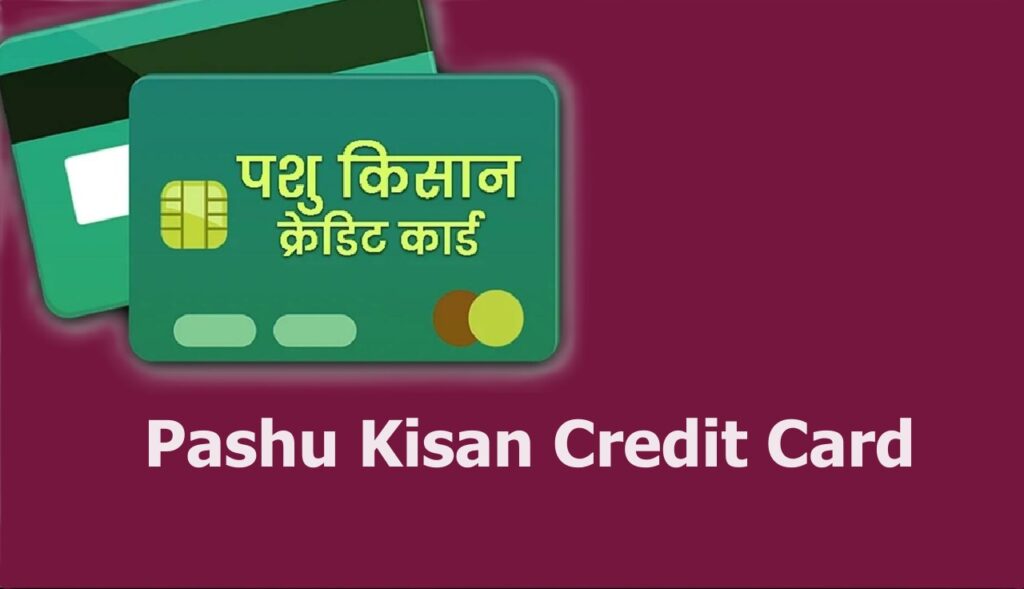 pashu kisan credit card scheme