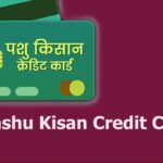 pashu kisan credit card scheme